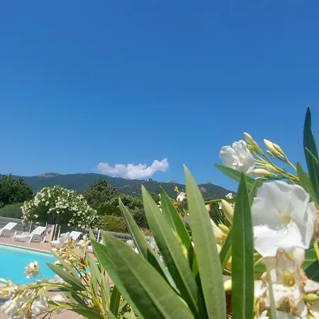 Riviera Апарт-отель 3*