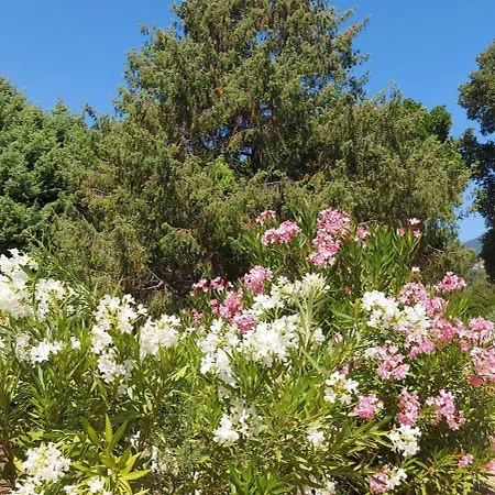 Riviera Апарт-отель