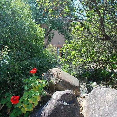 Апарт-отель Riviera 3*