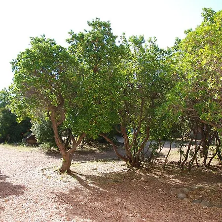 Ξενοδοχείο με διαμερίσματα Riviera Πόρτο Βέκιο