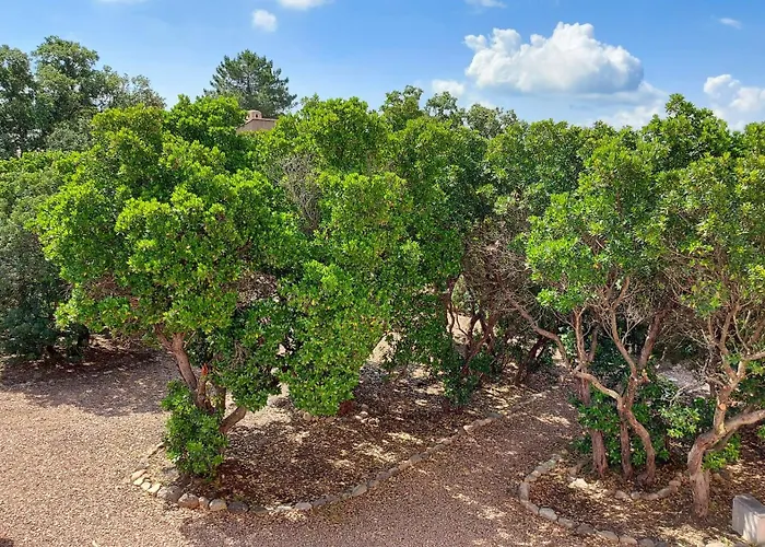 公寓式酒店 里维埃拉居住酒店 维琪奥港
