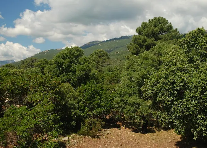 里维埃拉居住酒店 公寓式酒店 维琪奥港