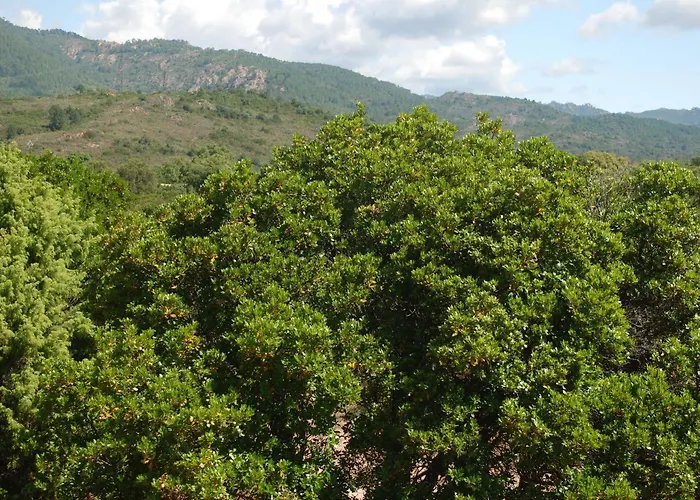 里维埃拉居住酒店 维琪奥港