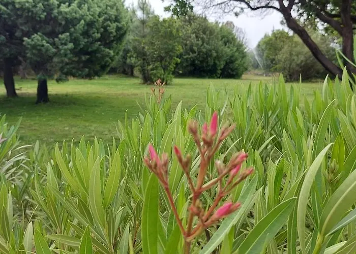 Aparthotel Riviera Porto-Vecchio (Corsica)