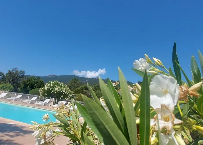 Riviera Hotel apartamentowy Porto-Vecchio (Corsica)