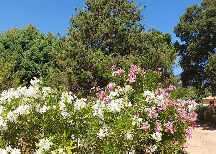 Riviera Appart hôtel