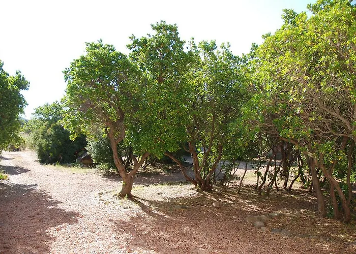 Hotel apartamentowy Riviera Porto-Vecchio (Corsica)